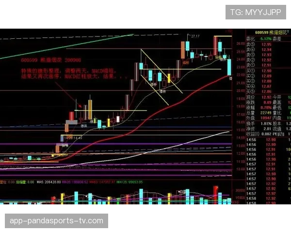 维尔茨速度与突破效率分析：是否缺乏爆发力