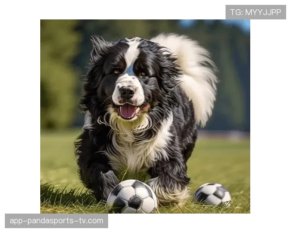 萨维奇对抗优势明显，防守表现稳健