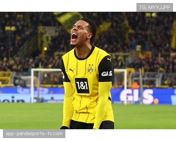 多特争冠稳定性不足问题：赛季关键阶段竞争压力加剧，表现波动影响走势