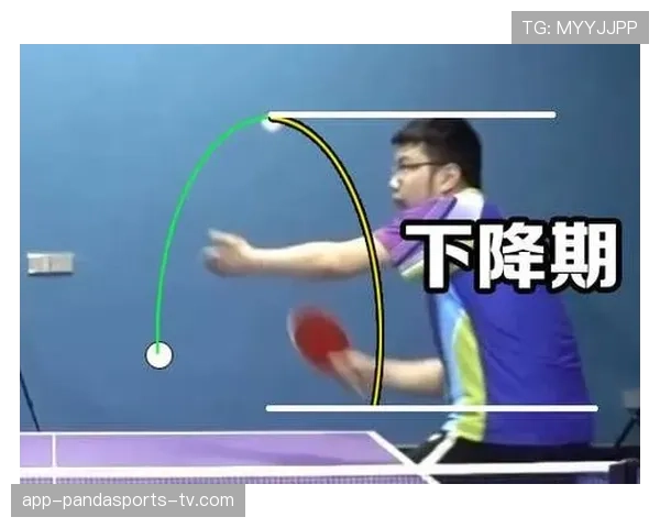如何准确理解篮球规则中发球违例判定的标准与执行依据
